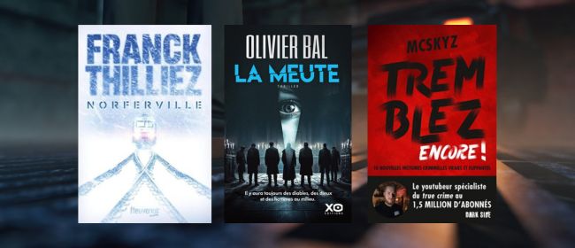 polices-livre-thriller